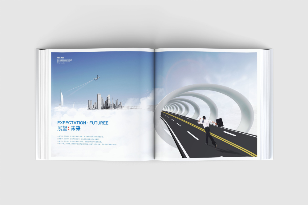 头屯河区画册设计